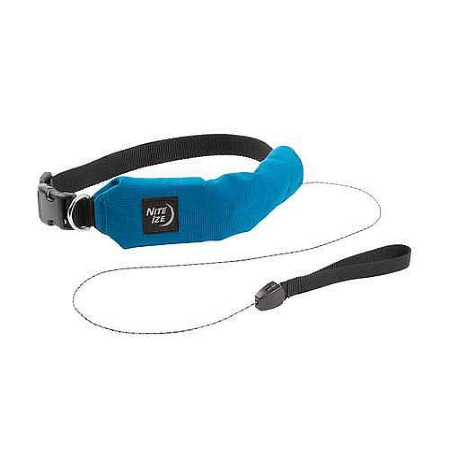 Gear Nite Ize | Rad Dog All-In-One Collar + Leash Blue