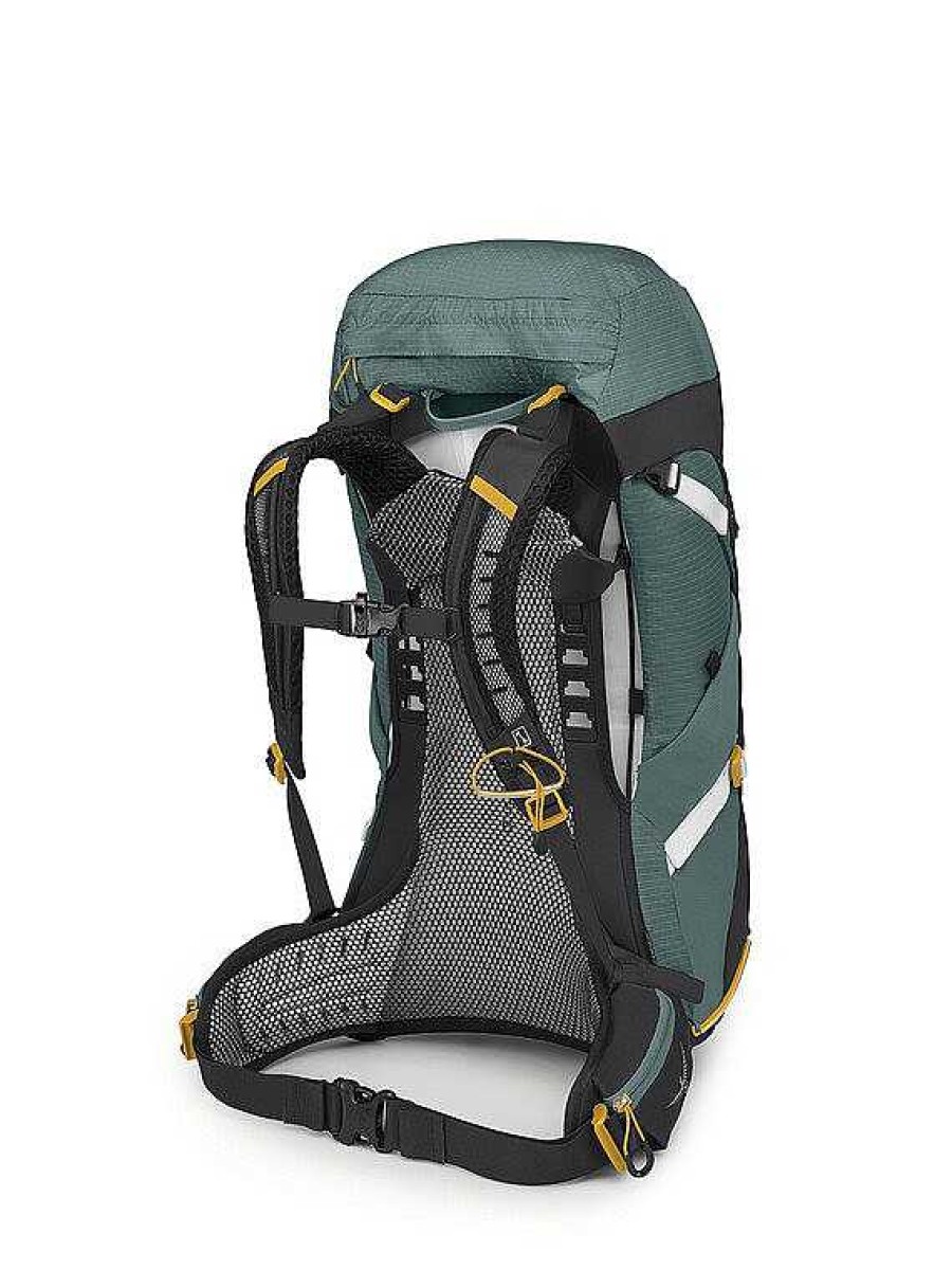 Gear Osprey Backpacking | Sirrus 36 Pack For Women