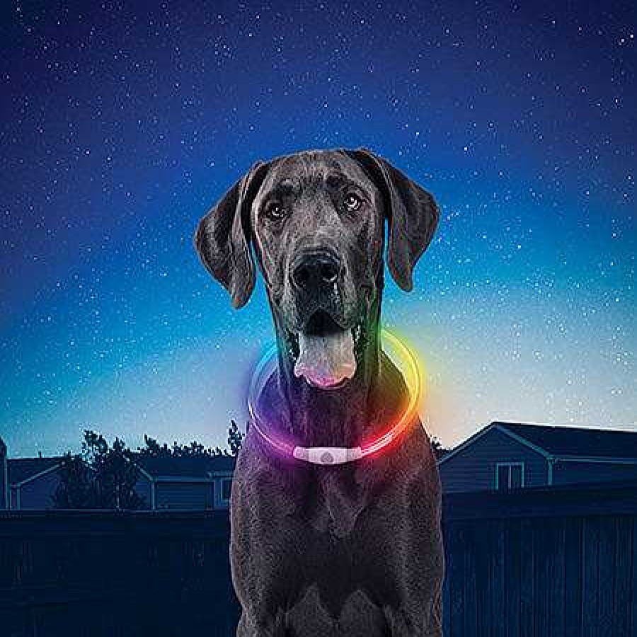 Gear Nite Ize | Nitehowl Rechargeable Led Safety Necklace Disco