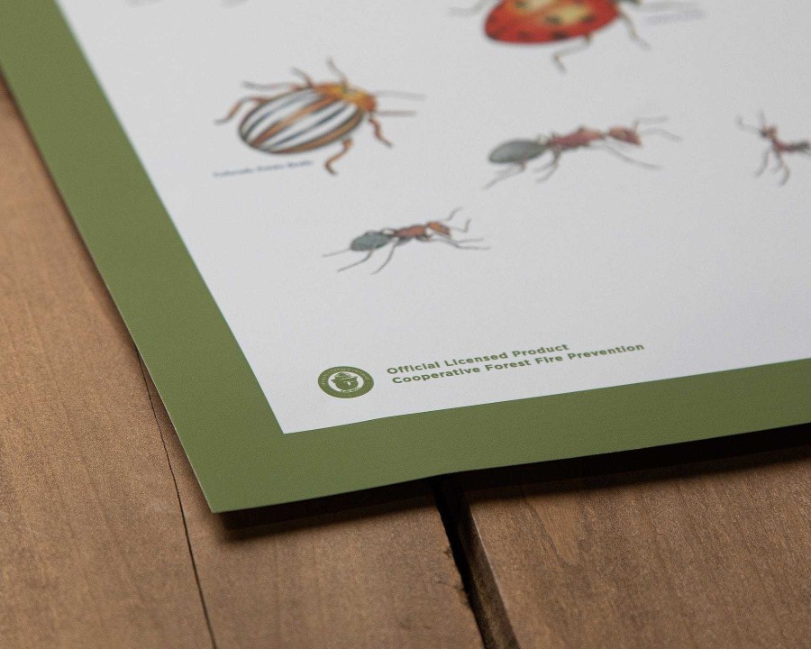 Gear Landmark Project | Insects Of The Forest Educational Poster One Color