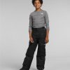 Kids' The North Face Rain & Snow Wear | Freedom Insulated Pants For Boys Tnf Black