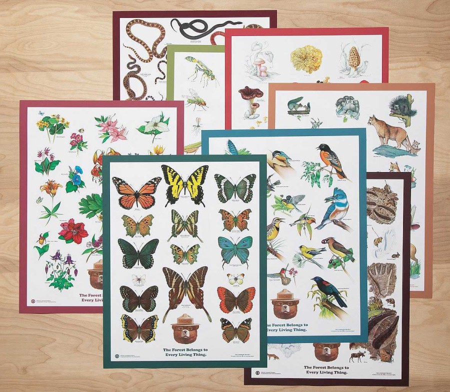 Gear Landmark Project | Butterflies Of The Forest Educational Poster One Color