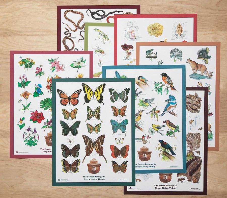 Gear Landmark Project | Insects Of The Forest Educational Poster One Color