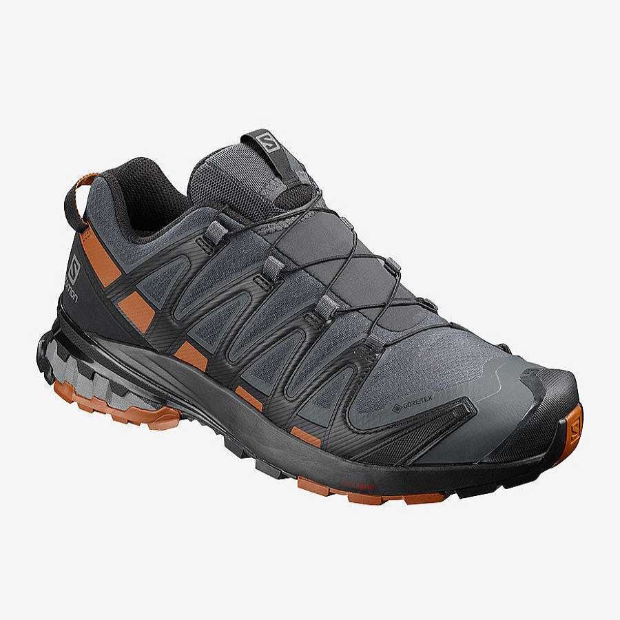 Footwear Salomon Shoes | Xa Pro 3D V8 Gore-Tex For Men Ebony/Caramel Cafe