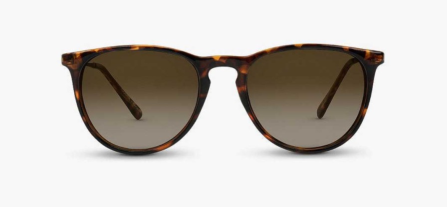 Men'S Nectar Sunglasses & Goggles | Shockoe Sunglasses Dark Tortoise - Gradient Amber Lens