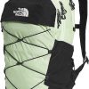 Gear The North Face Daypacks | Borealis Backpack