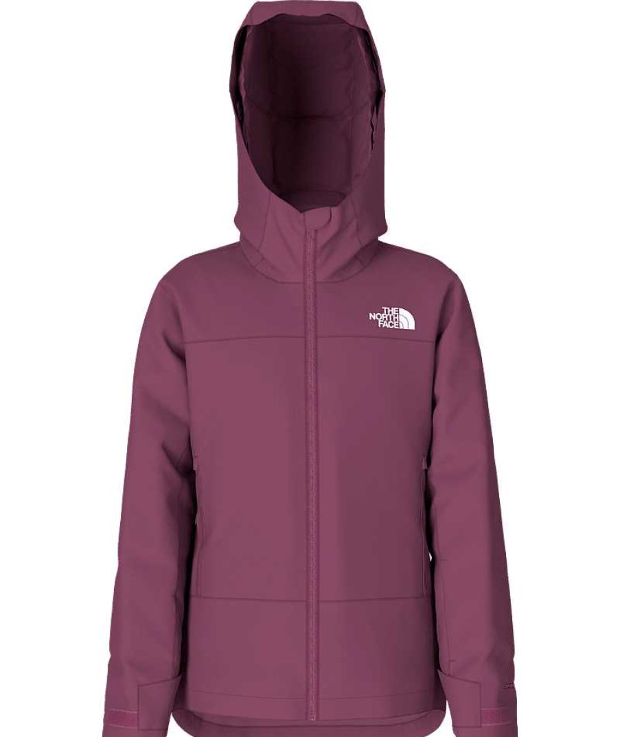 Kids' The North Face Rain & Snow Wear | Freedom Insulated Jacket For Girls Boysenberry