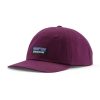 Men'S Patagonia Head & Neckwear | P-6 Label Trad Cap