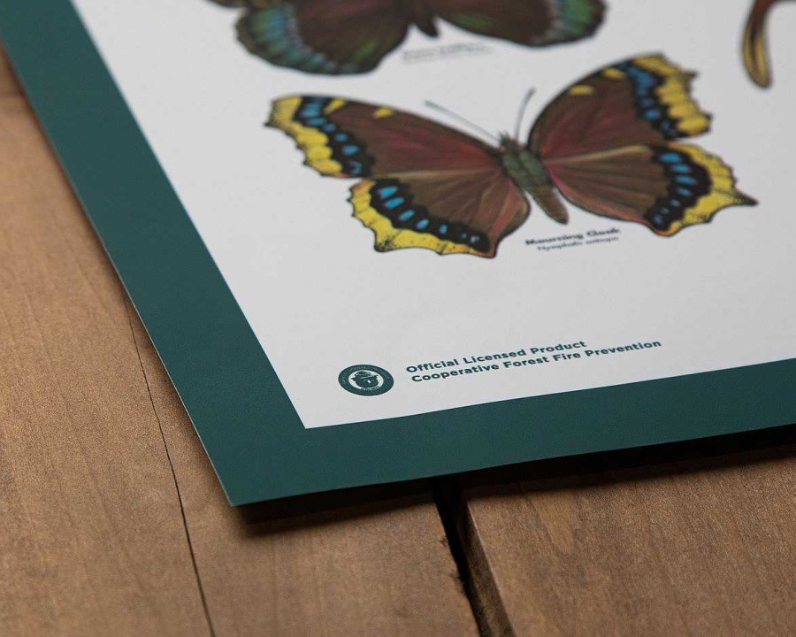 Gear Landmark Project | Butterflies Of The Forest Educational Poster One Color